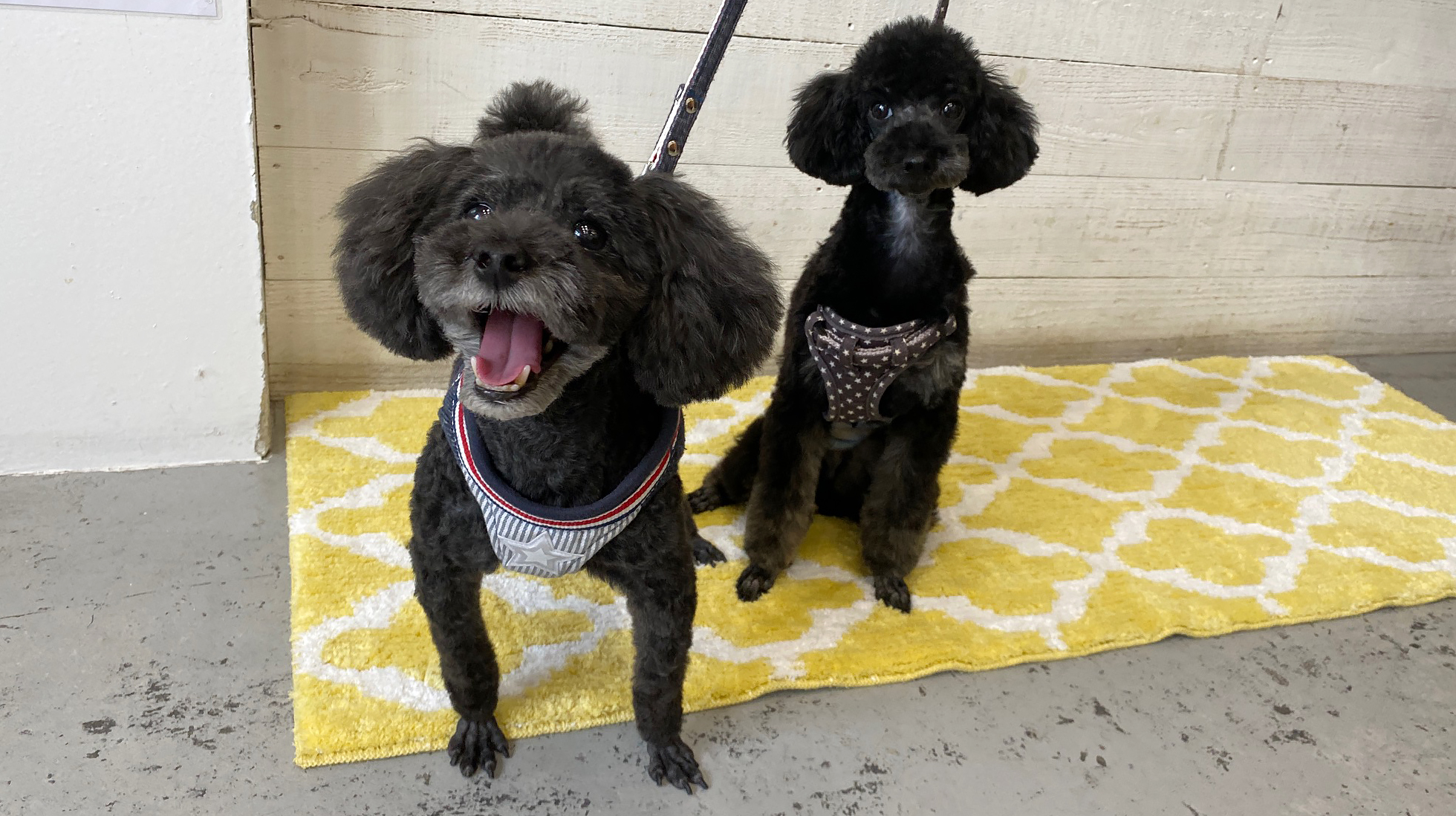 柊ちゃん椋ちゃんアイキャッチ