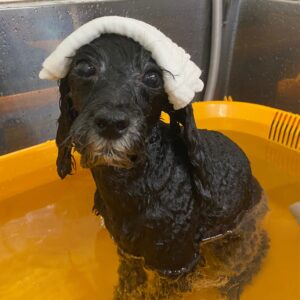 柊ちゃんスパ中