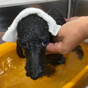 椋ちゃんスパ中