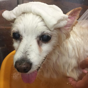 リサちゃんスパ中