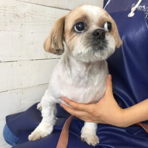 仕上がりミックス