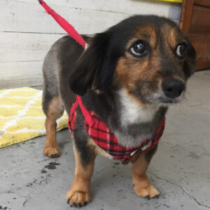 仕上がりミックス