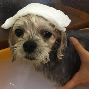 お風呂ミックス