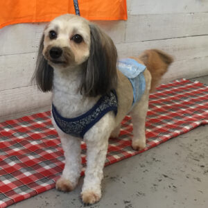 仕上がりミックス