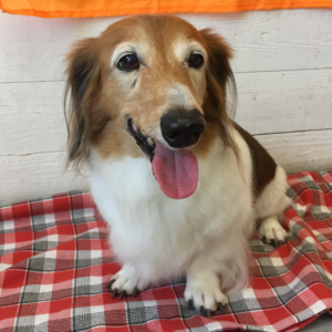 空ちゃん施術後