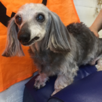 アムちゃんアイキャッチ