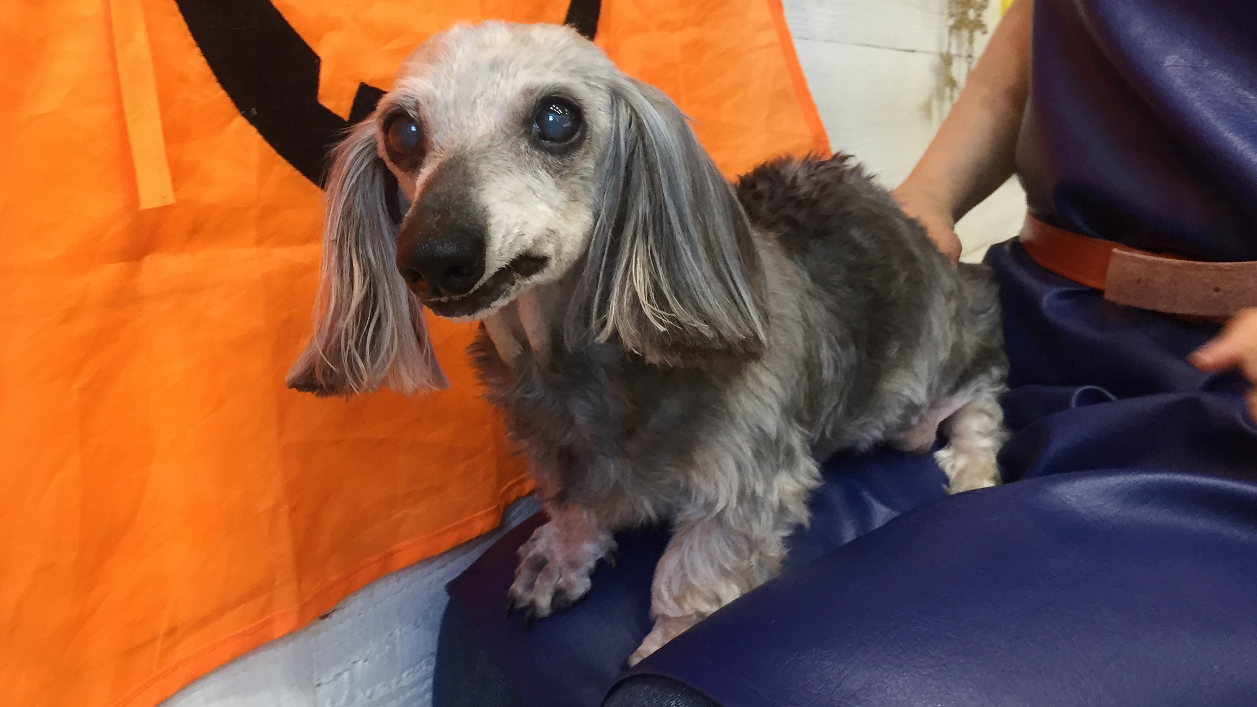 アムちゃんアイキャッチ