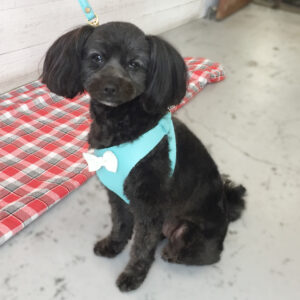 仕上がりミックス