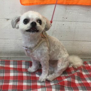 仕上がりミックス