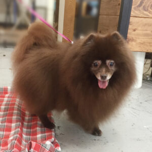 仕上がりミックス