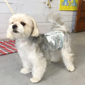 仕上がりミックス