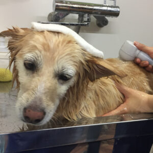 お風呂ミックス