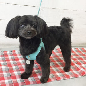 仕上がりミックス