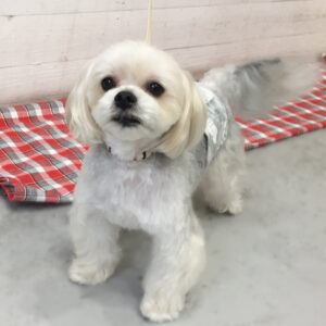 仕上がりミックス