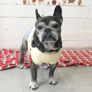 仕上がりフレブル