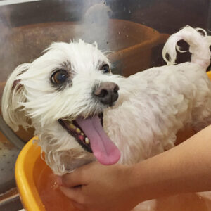 お風呂ミックス