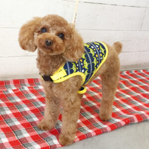 仕上がりトイプー