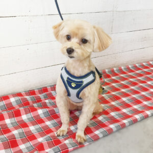 仕上がりミックス