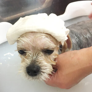 お風呂ミックス