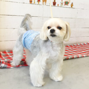 仕上がりミックス