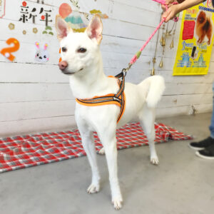 仕上がりミックス