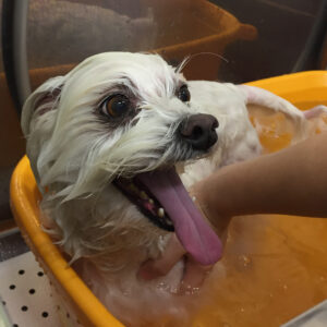 お風呂ミックス