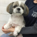 小太郎ちゃんアイキャッチ