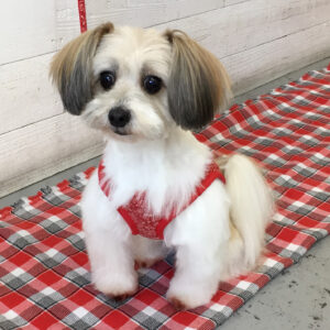 つむぎちゃん施術後