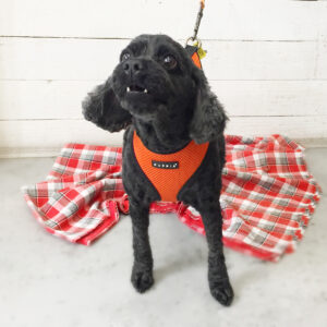 仕上がりミックス