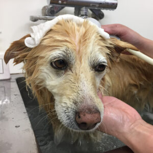 お風呂ミックス