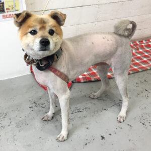 ひなちゃん施術後