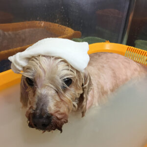 お風呂ミックス