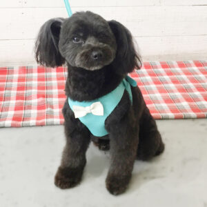 仕上がりミックス