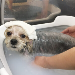 お風呂ミックス