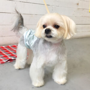 仕上がりミックス