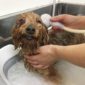 お風呂ミックス