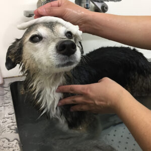 お風呂ミックス