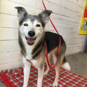 仕上がりミックス