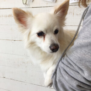 仕上がりミックス