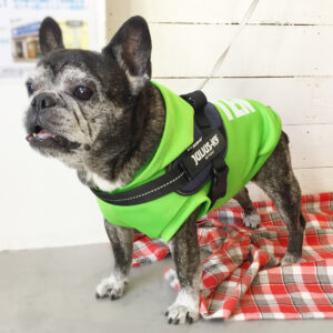 仕上がりフレブル