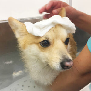 お風呂ミックス