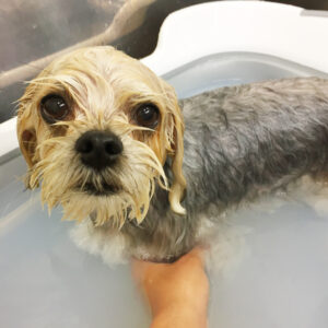 お風呂ミックス