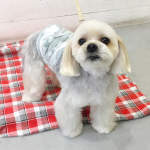 仕上がりミックス