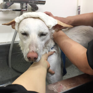 ちるちゃんスパ中