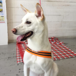 ちるちゃん施術後