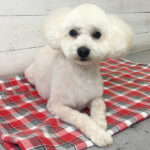 みうちゃんアイキャッチ