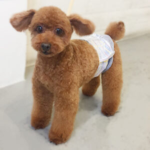 仕上がりトイプー