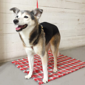 仕上がりミックス