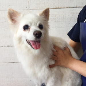 仕上がりミックス