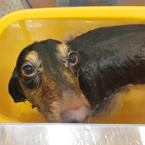 凜ちゃんスパ中